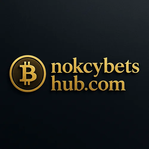 NoKYCbetsHub Logo